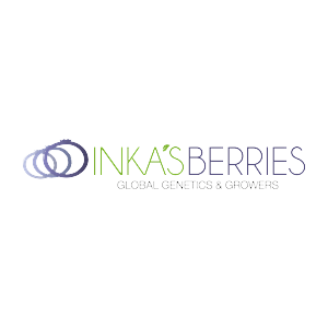 no_distortion_inkas_berries_300