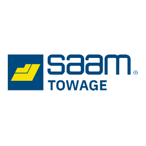 no_distortion_saam_300